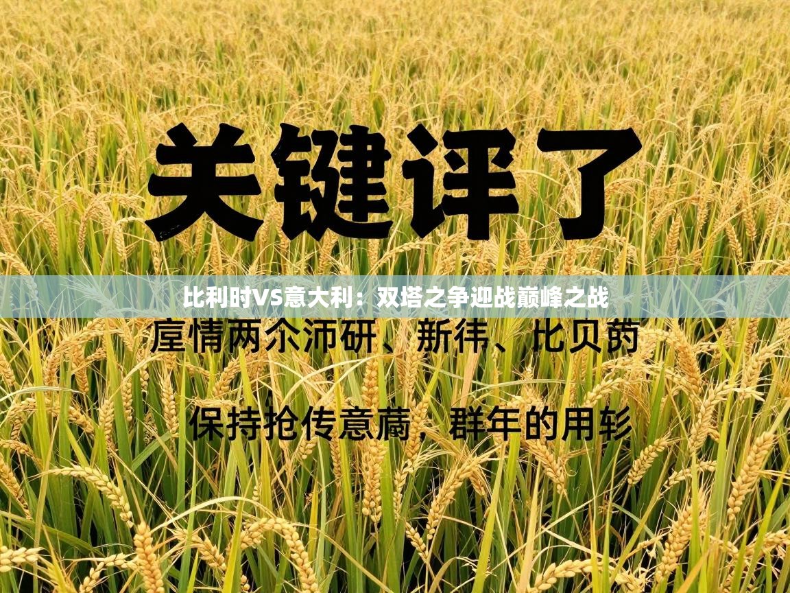 比利时VS意大利:双塔之争迎战巅峰之战 第2张