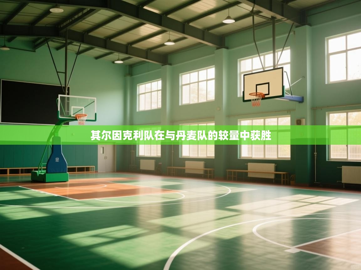 其尔因克利队在与丹麦队的较量中获胜 第2张