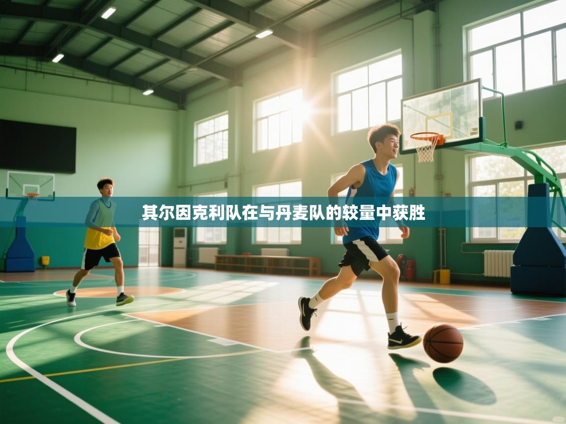 其尔因克利队在与丹麦队的较量中获胜 第1张